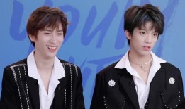 明星黑料ppt,PPT背后的真相与反思